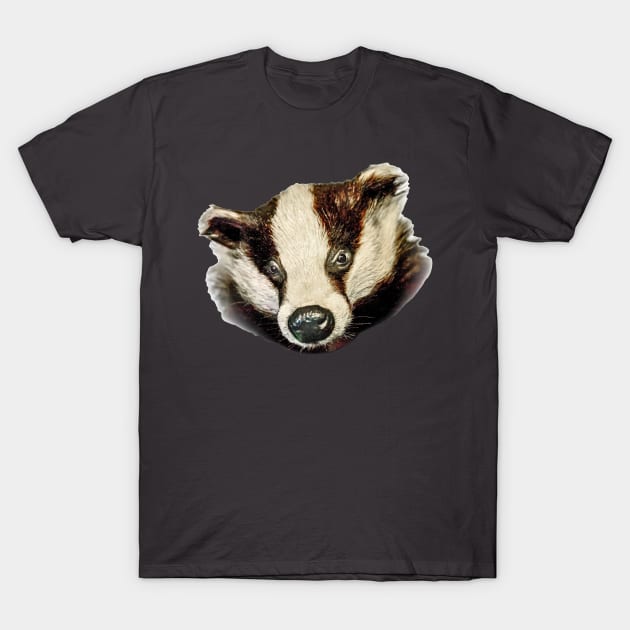 Arty Badger T-Shirt by dalyndigaital2@gmail.com